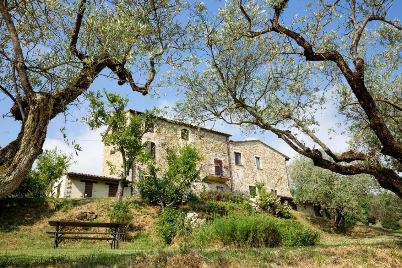 Villa Colle Di Rocco Limigiano 外观 照片