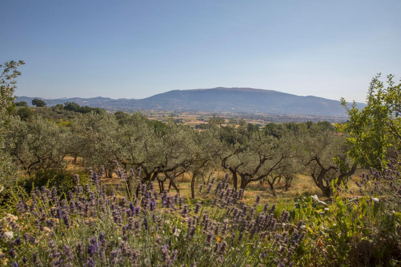 Villa Colle Di Rocco Limigiano 外观 照片