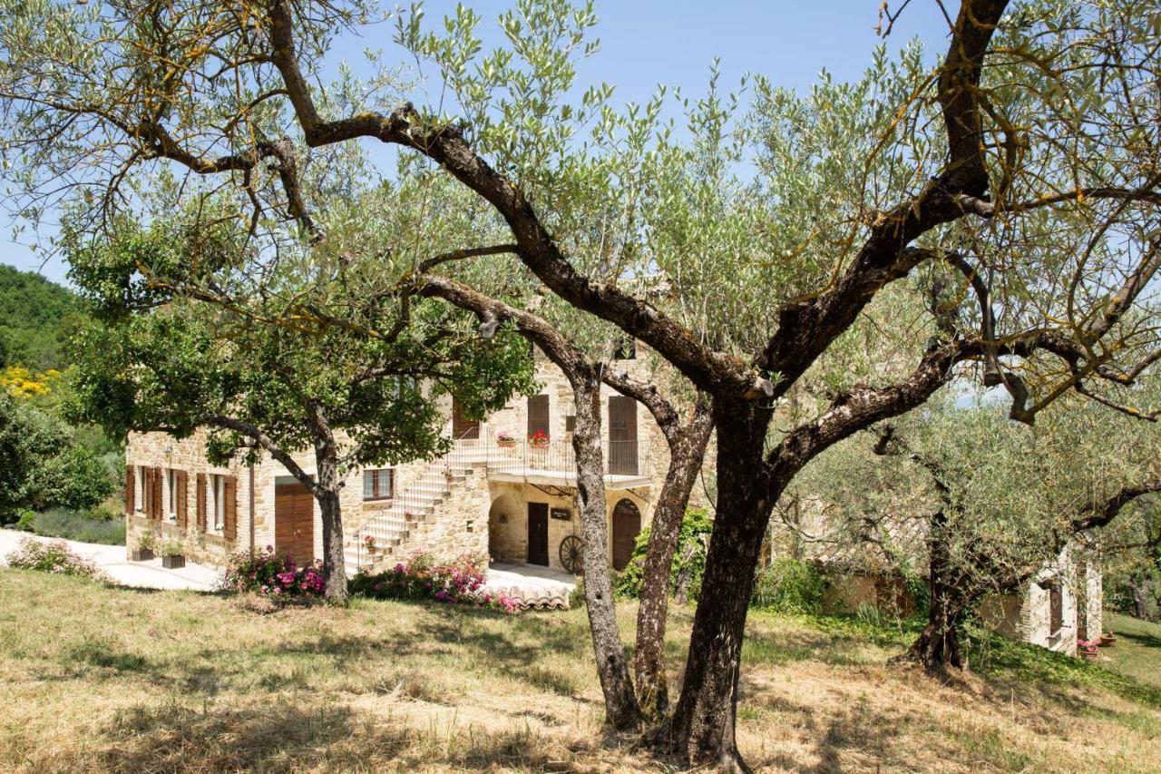 Villa Colle Di Rocco Limigiano 外观 照片