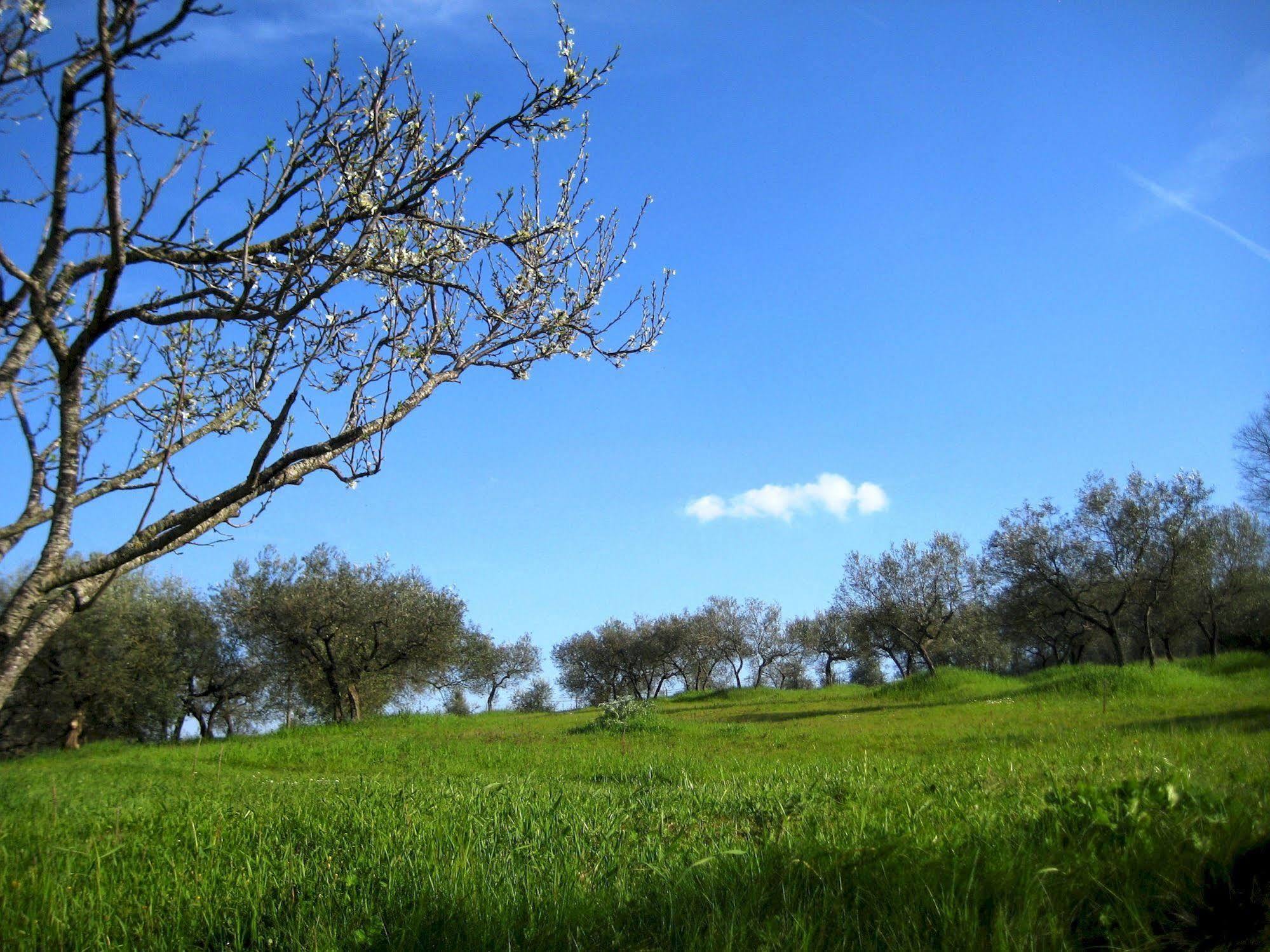 Villa Colle Di Rocco Limigiano 外观 照片
